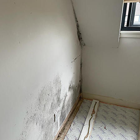 Solving a damp bedroom wall