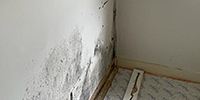 Solving a damp bedroom wall